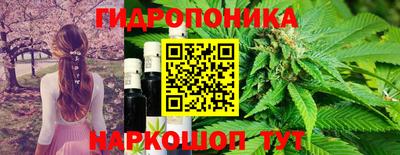 СК Тара