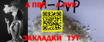 СК Тара