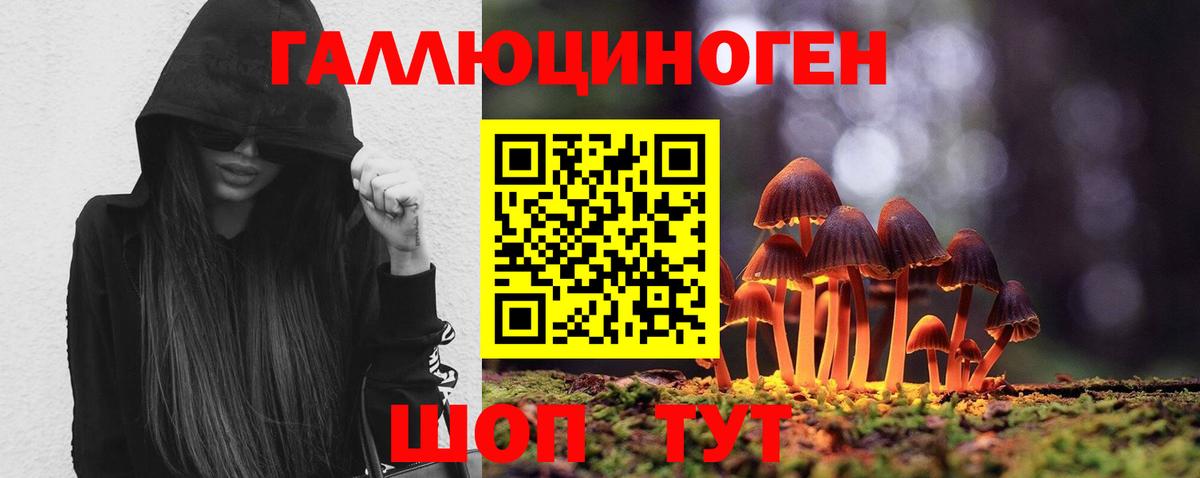 Галлюциногенные грибы GOLDEN TEACHER Медногорск